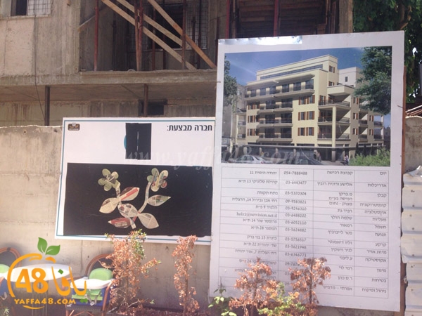 abarakan yaffa (5).jpg